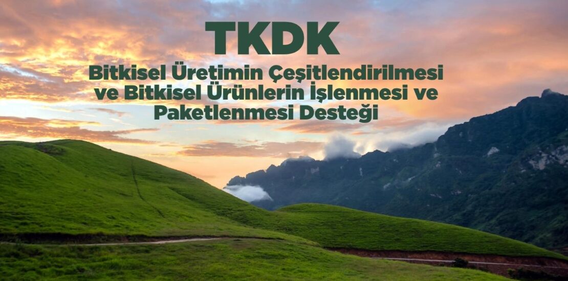TKDK Bitkisel Üretimin Çeşitlendirilmesi ve Bitkisel Ürünlerin İşlenmesi ve Paketlenmesi Desteği