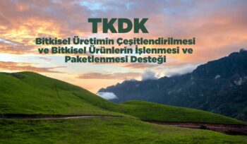 TKDK Bitkisel Üretimin Çeşitlendirilmesi ve Bitkisel Ürünlerin İşlenmesi ve Paketlenmesi Desteği