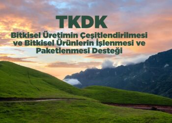 TKDK Bitkisel Üretimin Çeşitlendirilmesi ve Bitkisel Ürünlerin İşlenmesi ve Paketlenmesi Desteği