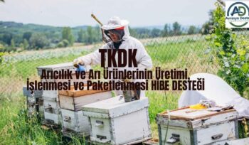 Arıcılık ve Arı Ürünlerinin Üretimi, İşlenmesi ve Paketlenmesi HİBE DESTEĞİ