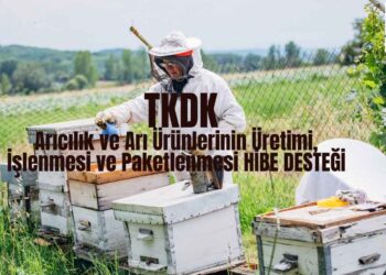Arıcılık ve Arı Ürünlerinin Üretimi, İşlenmesi ve Paketlenmesi HİBE DESTEĞİ