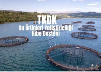 Su Ürünleri Yetiştiriciliği Hibe Desteği