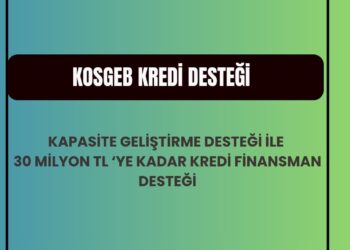kosgeb kredi desteği